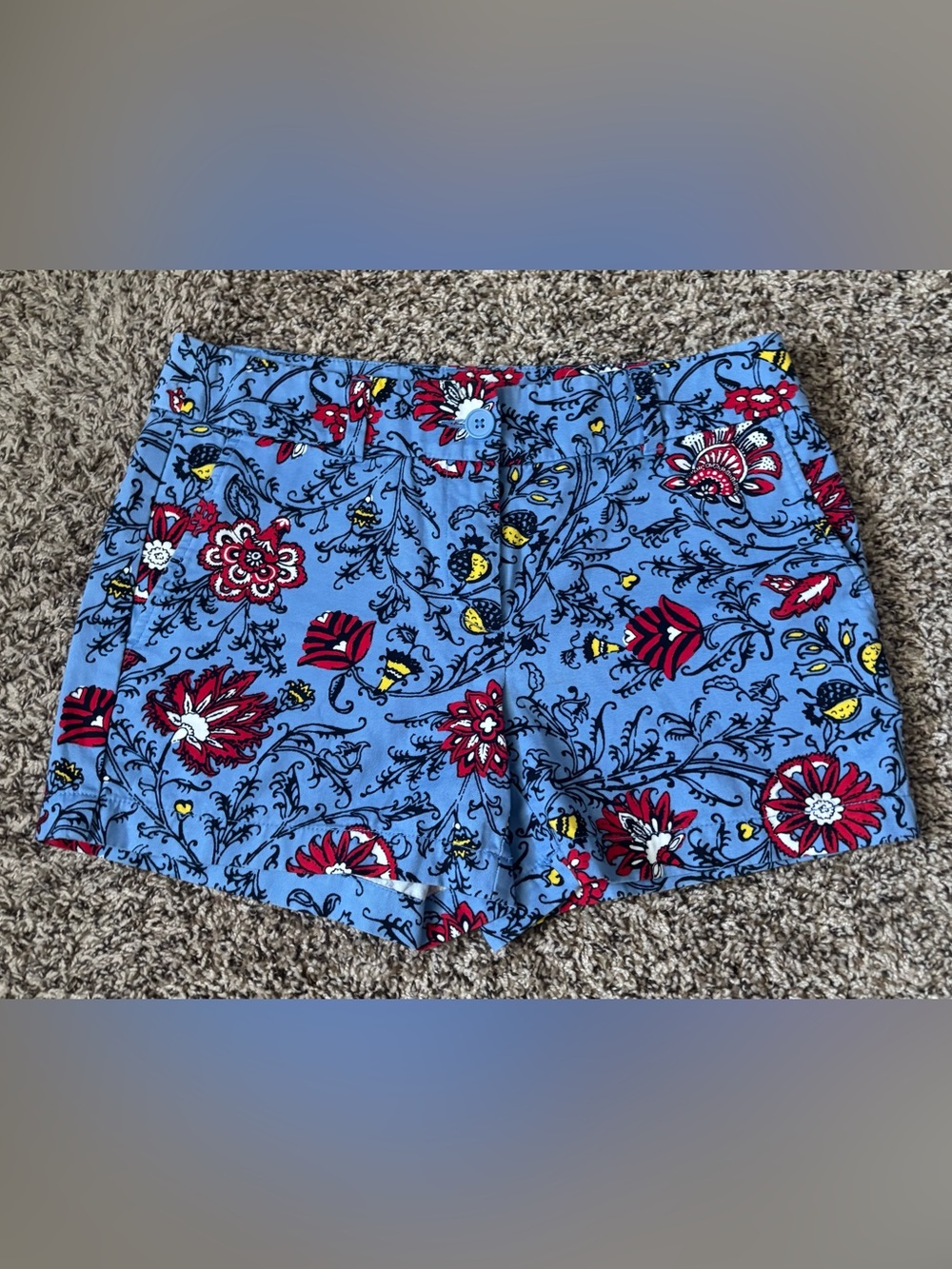 LOFT Light Blue Floral Print Women's Shorts 
Sz 2